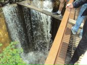 Назар Павлів фотография #33 (источник - https://vk.com/id26299511)