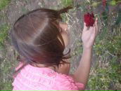 Алінка Голунга фотография #48 (источник - https://vk.com/id62404989)