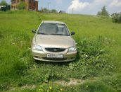 Фотография Московцева Анастасия