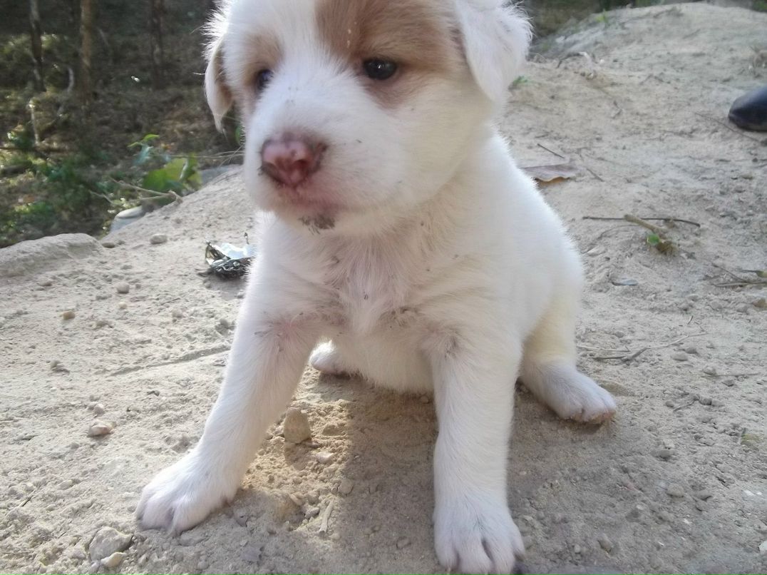 Дмитрий Михеенко фотография #20