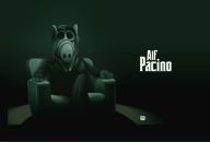 Фотография Альфера Владислава