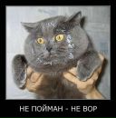 Сергій Баніт фотография #42 (источник - https://vk.com/id21088363)