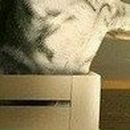 Владлєна Козачок фотография #6 (источник - https://vk.com/id98642620)