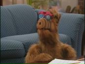 Фотография Шестухина Дениса