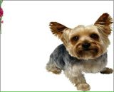 Вікторія Кобилецька фотография #31 (источник - https://vk.com/id44781208)