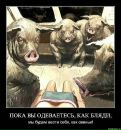 Фотография Акишина Вячеслава