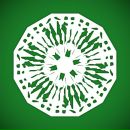 Іннусічка Нисинець фотография #24 (источник - https://vk.com/id94559583)