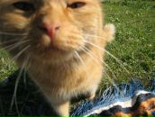 Viktoria Saveleva фотография #26 (источник - https://vk.com/id294200)