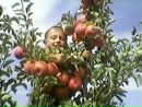 Діанка Базелюк фотография #29 (источник - https://vk.com/id135139305)