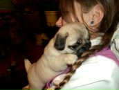 Фотография Туромша Кирилл