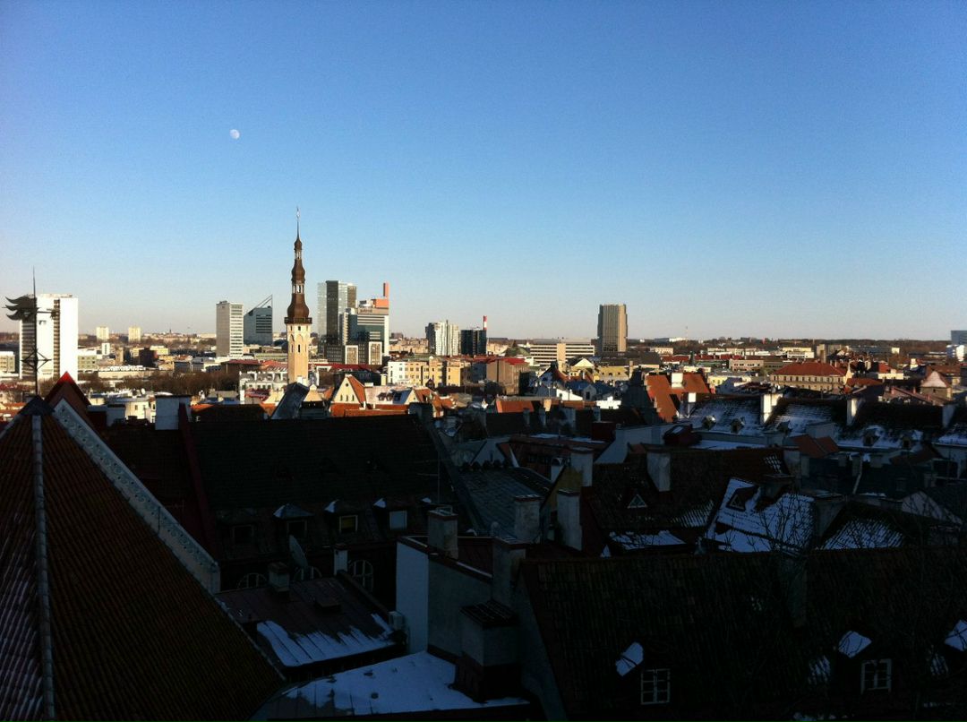 Антон Догадаев фотография #43