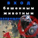 Сергій Тітарчук фотография #8 (источник - https://vk.com/id132795258)