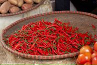 Фотография Штучковой Анастасии