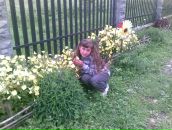 Вікторія Мартинишин фотография #16 (источник - https://vk.com/id162502411)