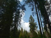 Сергій Слав'янський фотография #22 (источник - https://vk.com/id39792263)
