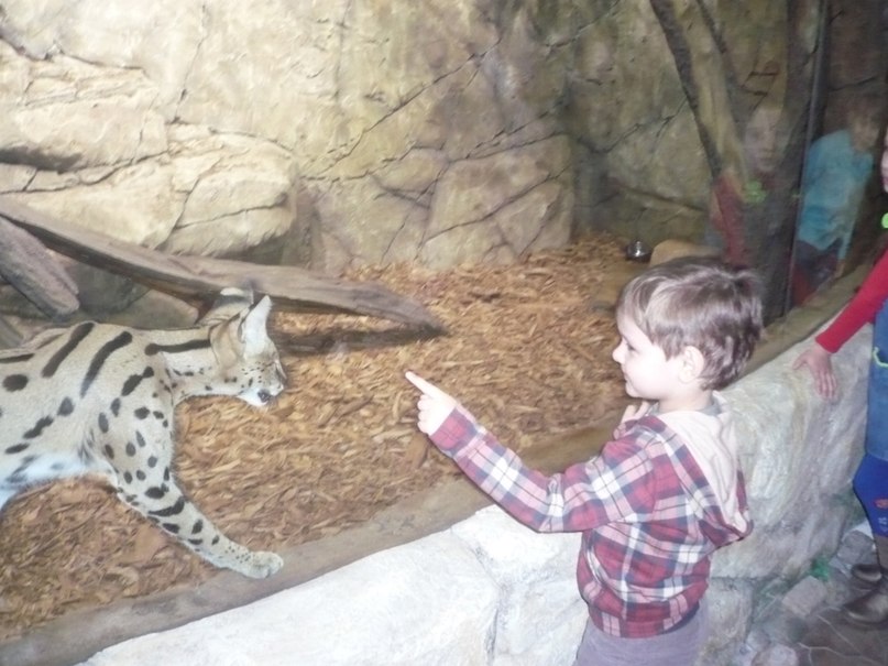 Олег Воробьев фотография #20