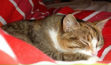 Фотография Ткачук Анастасии