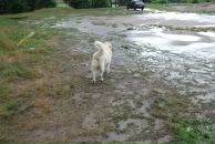 Иван Любченко фотография #43 (источник - https://vk.com/id682883)