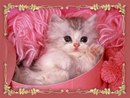 Міша Вітик фотография #26 (источник - https://vk.com/id151053840)