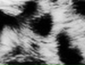 Аннет Valtera фотография #33 (источник - https://vk.com/id20125747)