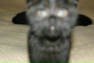 Алёна Смайл=) фотография #10 (источник - https://vk.com/id131650175)