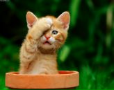 Фотография Зеленова Сергея