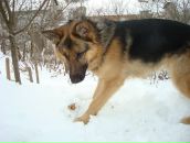 Саша Петрунін фотография #23 (источник - https://vk.com/id127332013)