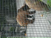 Інна Орсуляк фотография #18 (источник - https://vk.com/id70215560)