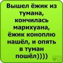 Юрій Дрозд фотография #23 (источник - https://vk.com/id158880335)