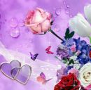 Каріна ))) фотография #6 (источник - https://vk.com/id151043267)