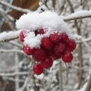 Наталія Кухаревич фотография #3 (источник - https://vk.com/id160824860)