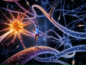 Фотография Поздеева Дениса