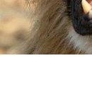 أنفسهم أحب фотография #3 (источник - https://vk.com/id145913596)