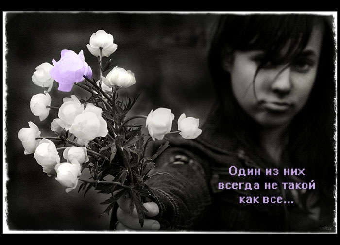 Dfsfsdf Sdfsdfsd фотография #1