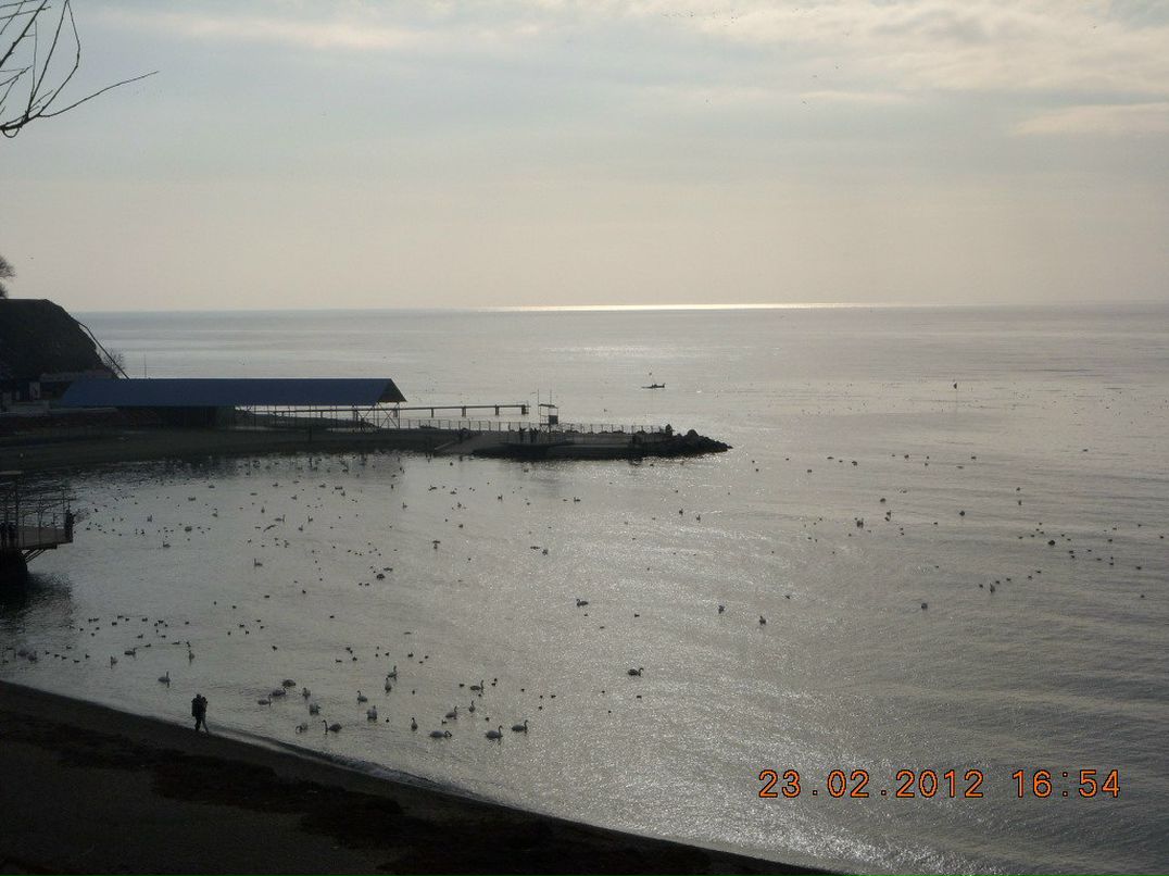 Виктор Маркушин фотография #50