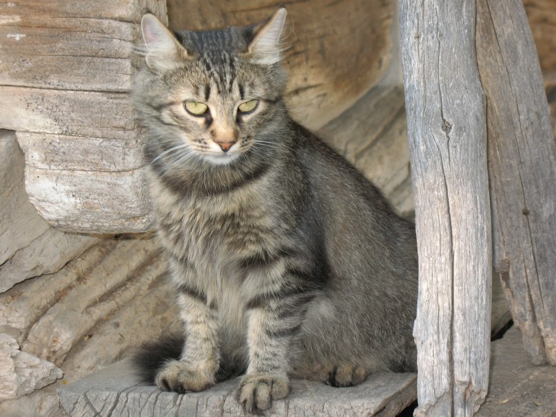 Sergey Stepanenko фотография #20