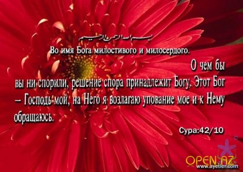№20, Сархан Аскеров, 37 лет, Баку №20, Сархан Аскеров, 37 лет, Баку