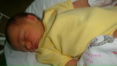 Фотография Русского Колобка