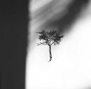 Фотография Чернышева Володи