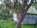 Иринка Михайлова фотография #4 (источник - https://vk.com/id1715653)