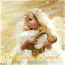 Галя Телендій фотография #40 (источник - https://vk.com/id161932782)