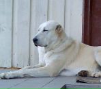 Фотография Тимохиной Екатерины