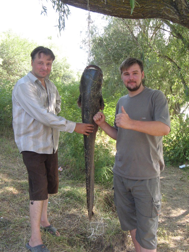 Сергей Тараскин фотография #44