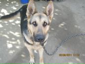 Віталій Панюк фотография #40 (источник - https://vk.com/id82487468)