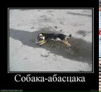 Андрій Філевський фотография #14 (источник - https://vk.com/id8253747)