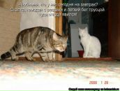 Фотография Данько Евгения