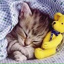 Фотография Чистовой Анастасии