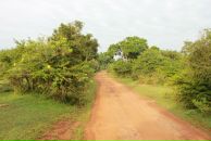 Кса На фотография #13 (источник - https://vk.com/id3671604)