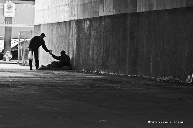 Bashar Abboud фотография #4