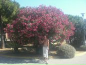 Фотография Дмитриева Сергея